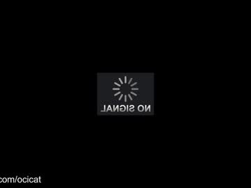 ocicat's chat room