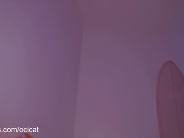 ocicat's chat room