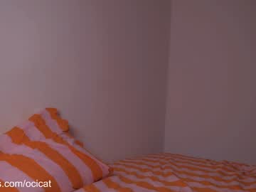 ocicat's chat room