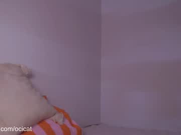ocicat's chat room