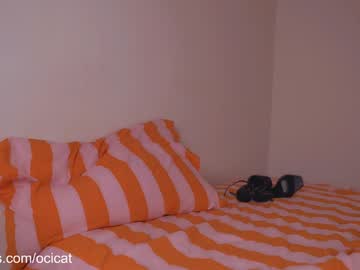 ocicat's chat room