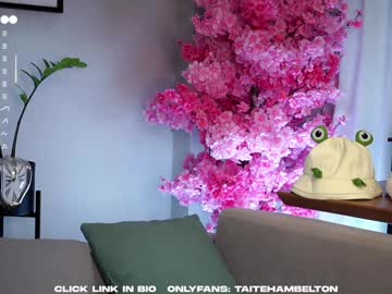 taitehambelton's chat room