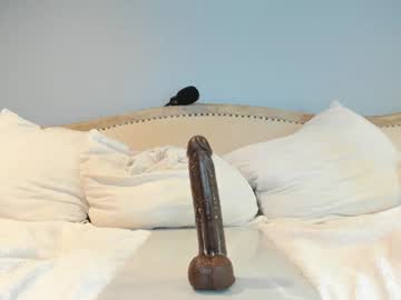 eatmygingersnapps's chat room