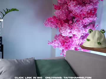 taitehambelton's chat room