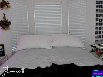 violetttflowers's chat room