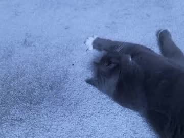 chroniclove's chat room