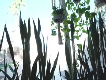 jackandjill's chat room