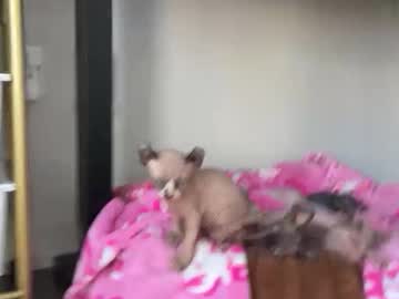 graciemae_baexx's chat room