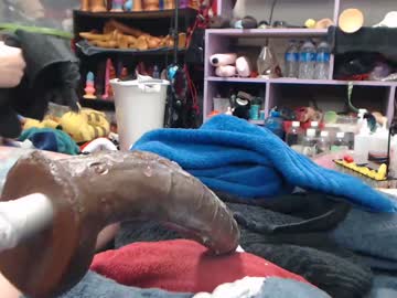 animergamergirl's chat room