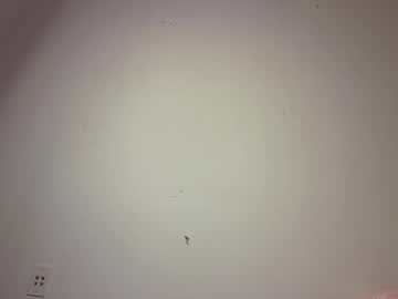 alyssastonee's chat room