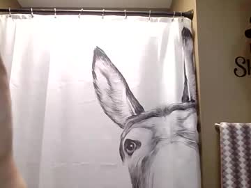 misseeva's chat room