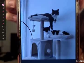 daisykimvip's chat room