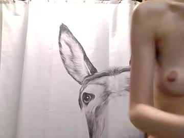 misseeva's chat room