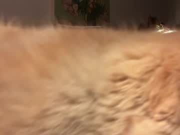 pretendlunch's chat room