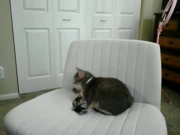 luckyducky02's chat room