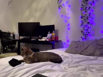 laylakutiex's chat room