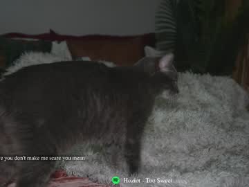 tantric_eden_'s chat room