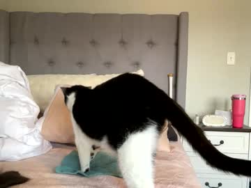 princessbaby525's chat room