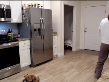 holihurricane's chat room