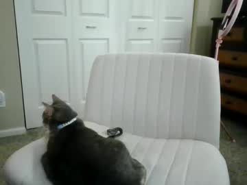 luckyducky02's chat room