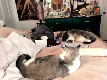 eve003300's chat room