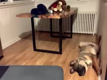 intothewoodswego's chat room