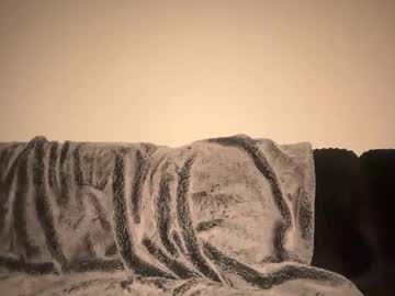 sophiarenae's chat room