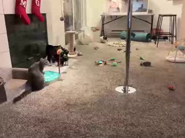 graceyrose's chat room