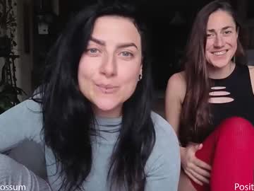 levity_opossum's chat room