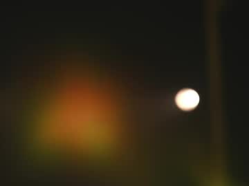 rocknrose's chat room