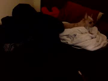 doubleendeddesire's chat room