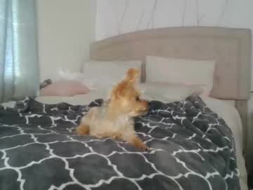 luvvvxliv's chat room