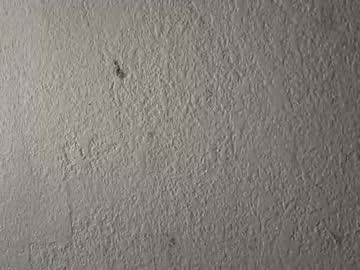 deepthroatqueen33's chat room