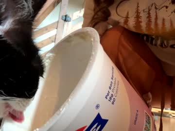 emersoncane's chat room