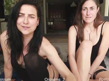 levity_opossum's chat room