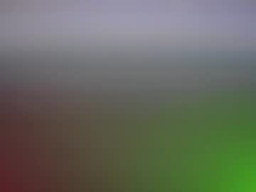 carleyquinn42183's chat room