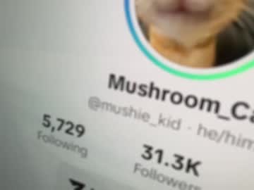 bonnettbonett's chat room