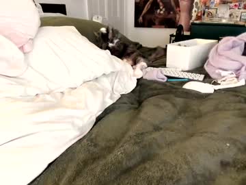 eve003300's chat room