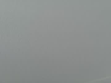 theislandgirl's chat room