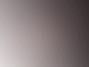 mysteriouspawg's chat room