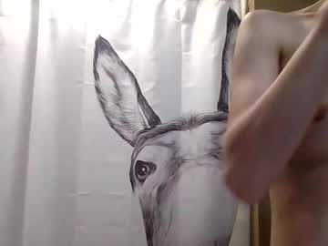 misseeva's chat room