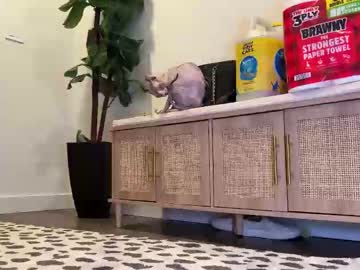 graciemae_baexx's chat room