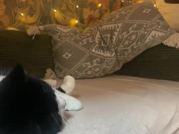 abbienextdoor's chat room