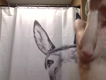 misseeva's chat room