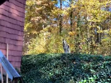 emersoncane's chat room