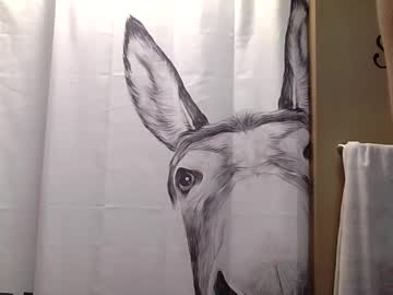 misseeva's chat room