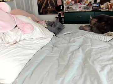 eve003300's chat room