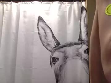 misseeva's chat room