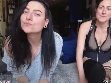 levity_opossum's chat room