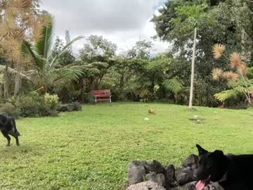 kaileeshy's chat room